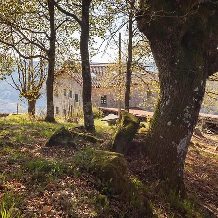 Дом отдыха Casa Vistaboa Ribeira Sacra Чантада